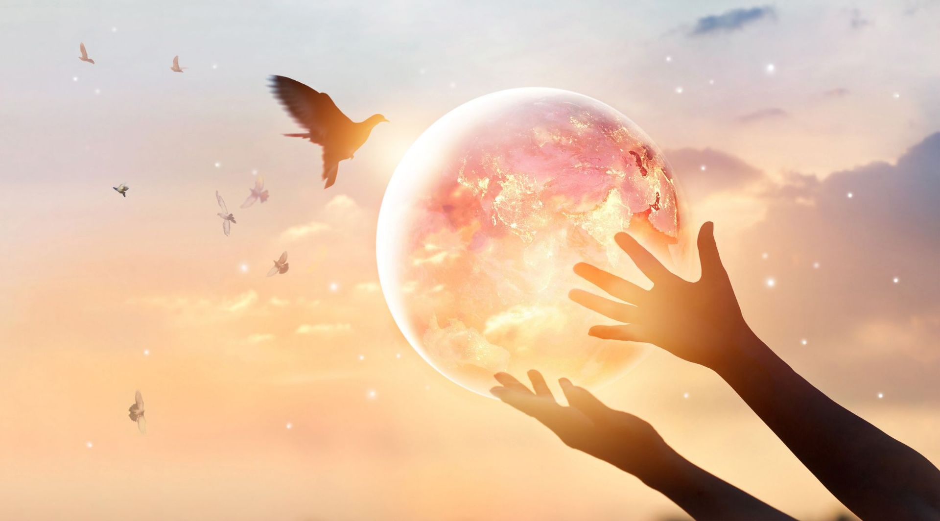 Ein Vogel und zwei Hände, die einen leuchtenden Planeten halten